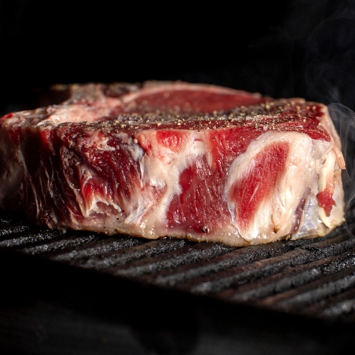 Diseño sin título (25)